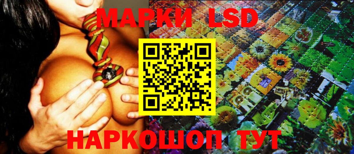 Краснознаменск  Марки N-bome 1500мкг  купить наркоту  Марки N-bome 1500мкг  Вход с VPN  Марки 25I-NBOMe 