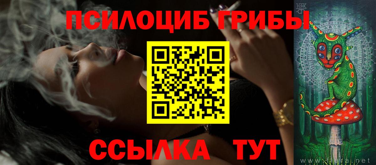 Галлюциногенные грибы мицелий Краснознаменск
