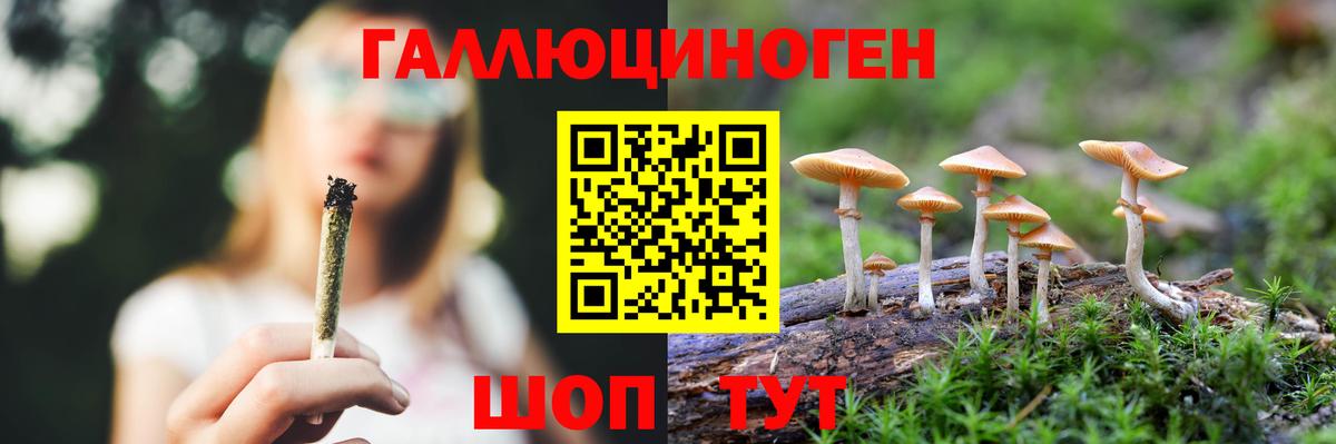 Галлюциногенные грибы Psilocybine cubensis  Вход с VPN  Галлюциногенные грибы мухоморы  Краснознаменск 