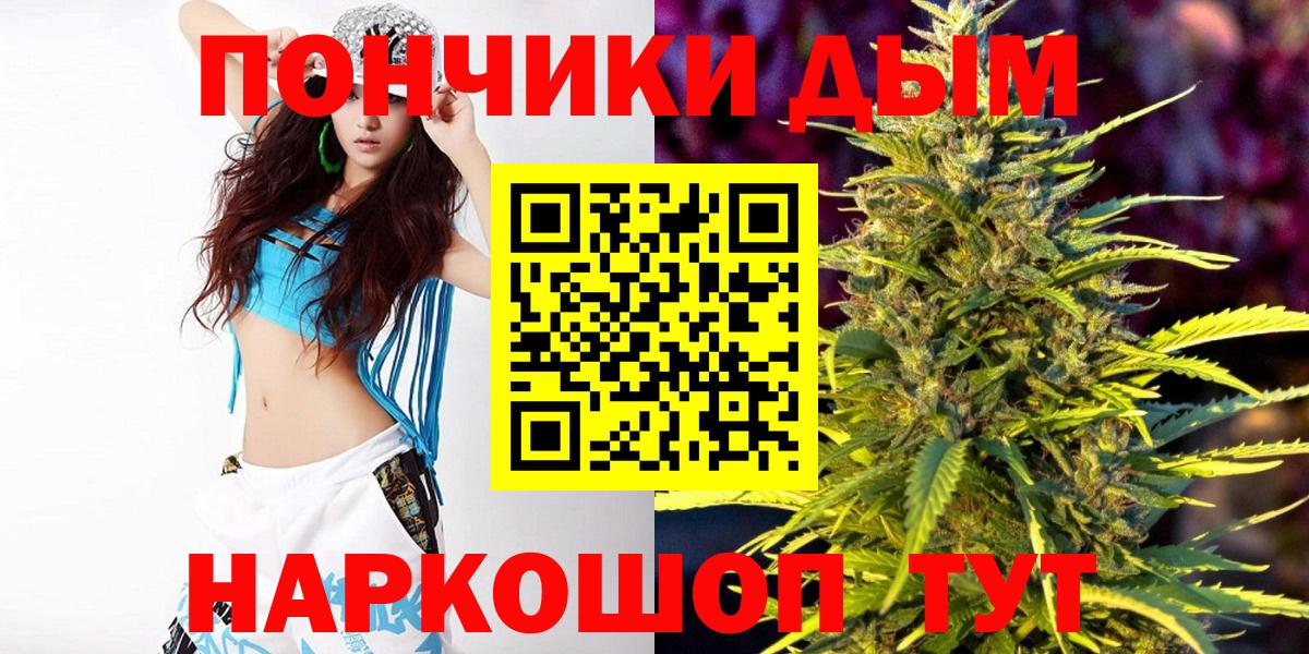 Каннабис гибрид Краснознаменск